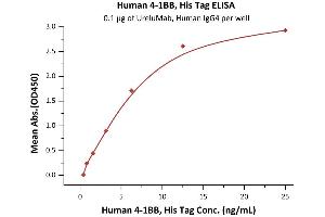 Immobilized Human 4-1BB Ligand (71-254), Fc Tag, active trimer (ABIN6938928,ABIN6950963) at 1 μg/mL (100 μL/well) can bind Human 4-1BB, His Tag (ABIN6972935) with a linear range of 1-20 ng/mL (QC tested). (CD137 Protein (AA 24-186) (His tag))