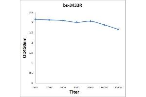 Antigen: 2 µg/100 µL  Primary: Antiserum, 1:500, 1:1000, 1:2000, 1:4000, 1:8000, 1:16000, 1:32000;  Secondary: HRP conjugated Rabbit Anti-Goat IgG at 1: 5000;  TMB staining Read the data in Microplate Reader by 450nm. (SYK antibody  (pTyr323))