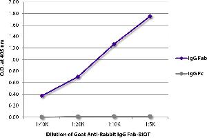 ELISA plate was coated with purified rabbit IgG Fab and IgG Fc. (Goat anti-Rabbit IgG (Fab Region) Antibody (Biotin))