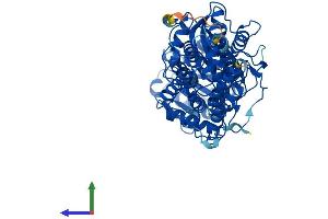 AlphaFold protein structure predicition of Mouse Recombinant Tkfc Protein, UniprotID Q8VC30 (DAK Protein (AA 1-578) (His tag))