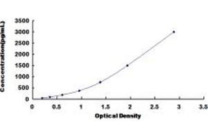 ECM1 ELISA Kit