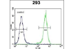 OTUD6B Antibody (C-term) (ABIN651994 and ABIN2840487) flow cytometric analysis of 293 cells (right histogram) compared to a negative control cell (left histogram). (OTUD6B antibody  (C-Term))