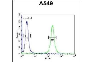 T Antibody (C-term) (ABIN654955 and ABIN2844595) flow cytometric analysis of A549 cells (right histogram) compared to a negative control cell (left histogram). (TMEM168 antibody  (C-Term))
