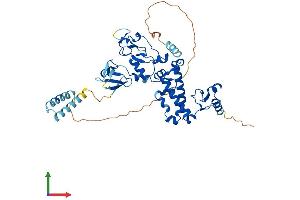 Protein Structure (PS) image for Differentially Expressed in FDCP 8 Homolog (DEF8) (AA 1-448) protein (His tag) (ABIN7560302)