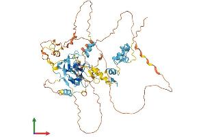 AlphaFold protein structure predicition of Mouse Recombinant Prdm6 Protein, UniprotID Q3UZD5 (PRDM6 Protein (AA 1-596) (His tag))