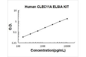 C-Type Lectin Domain Family 11, Member A (CLEC11A) ELISA Kit