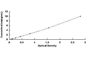 Typical standard curve (IL7R ELISA Kit)