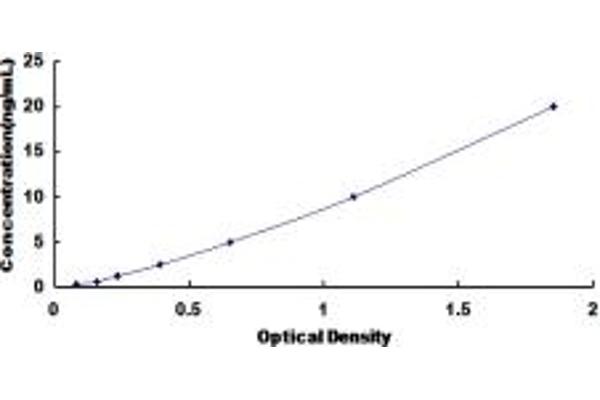 VCP ELISA Kit