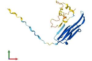 AlphaFold protein structure predicition of Human Recombinant CRYAB Protein, UniprotID P02511 (CRYAB Protein (AA 1-175) (His tag))