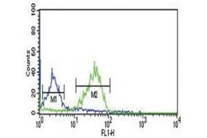WNT1 antibody flow cytometric analysis of MCF-7 cells (green) compared to a negative control (blue). (WNT1 antibody  (AA 260-288))