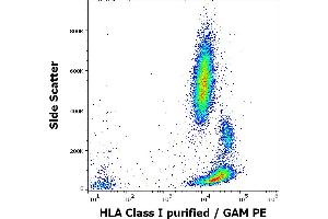 Flow cytometry surface staining pattern of human peripheral whole blood stained using anti-HLA Class I (MEM-147) purified antibody (concentration in sample 1. (MICA antibody)