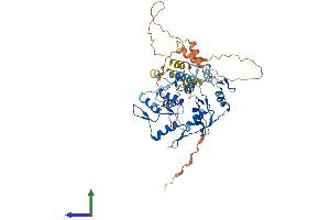 Protein Structure (PS) image for Zinc Finger Protein interacting with Ribonucleoprotein K (ZIK1) (AA 1-487) protein (His tag) (ABIN7545299)