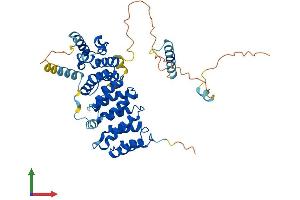 AlphaFold protein structure predicition of Mouse Recombinant Bysl Protein, UniprotID O54825