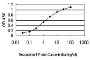 Detection limit for recombinant GST tagged BTF3 is approximately 0. (BTF3 antibody  (AA 1-162))