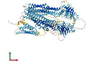 AlphaFold protein structure predicition of Mouse Recombinant Abcc6 Protein, UniprotID Q9R1S7 (ABCC6 Protein (AA 1-1498) (His tag))