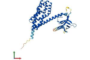 AlphaFold protein structure predicition of Mouse Recombinant Arhgef39 Protein, UniprotID Q66JY6