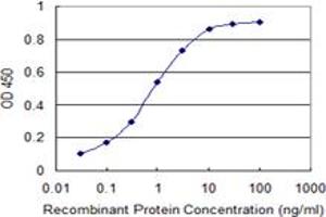 Detection limit for recombinant GST tagged RELA is 0. (NF-kB p65 antibody  (AA 432-505))