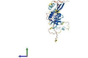 AlphaFold protein structure predicition of Mouse Recombinant Tpgs2 Protein, UniprotID Q66JT5