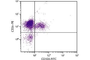 CD-1 mouse mesenteric lymph node cells were stained with Hamster Anti-Mouse CD103-FITC. (CD103 antibody)