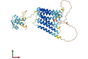 AlphaFold protein structure predicition of Human Recombinant SLC39A8 Protein, UniprotID Q9C0K1 (SLC39A8 Protein (AA 1-460) (His tag))