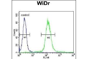 HSPD1 Antibody (C-term) (ABIN1882094 and ABIN2839474) flow cytometric analysis of WiDr cells (right histogram) compared to a negative control cell (left histogram). (HSPD1 antibody  (C-Term))