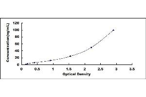 PDIA4 ELISA Kit