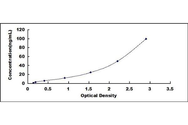 PDIA4 ELISA Kit