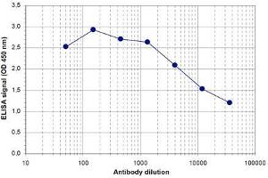 ELISA of anti-SOX4 antibody ELISA results of Rabbit anti-SOX4 antibody. (SOX4 antibody)
