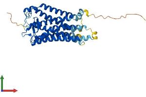 Protein Structure (PS) image for Thromboxane A2 Receptor (TBXA2R) (AA 1-343) protein (His tag) (ABIN7544153)