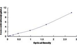 Typical standard curve (PRM2 ELISA Kit)