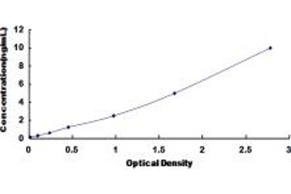 PRM2 ELISA Kit