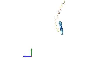 AlphaFold protein structure predicition of Human Recombinant SNCG Protein, UniprotID O76070 (SNCG Protein (AA 1-127) (His tag))