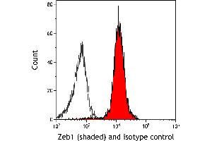Flow Cytometry (FACS) image for anti-Zinc Finger E-Box Binding Homeobox 1 (ZEB1) (C-Term) antibody (ABIN7795625) (Recombinant ZEB1 antibody  (C-Term))