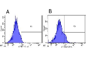 Flow-cytometry using anti-CD25 antibody Basiliximab   Rhesus monkey lymphocytes were stained with an isotype control (panel A) or the rabbit-chimeric version of Basiliximab ( panel B) at a concentration of 1 µg/ml for 30 mins at RT. (Recombinant IL2RA (Basiliximab Biosimilar) antibody)