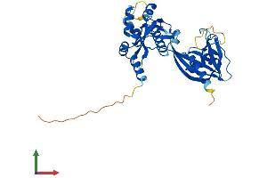 AlphaFold protein structure predicition of Human Recombinant NUDT13 Protein, UniprotID Q86X67