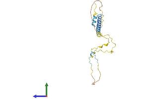 Protein Structure (PS) image for T Cell Receptor Associated Transmembrane Adaptor 1 (TRAT1) (AA 1-186) protein (His tag) (ABIN7544743)