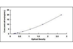 ELISA image for Collagen, Type III (COL3) ELISA Kit (ABIN416375)