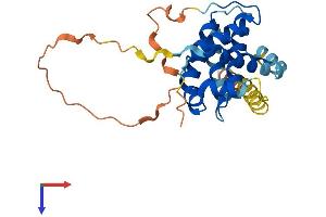 AlphaFold protein structure predicition of Mouse Recombinant Bcl2 Protein, UniprotID P10417 (Bcl-2 Protein (AA 1-236) (His tag))