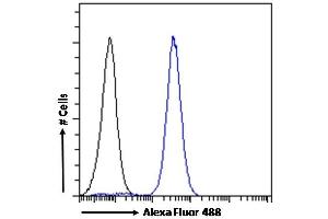 (ABIN768541) Flow cytometric analysis of paraformaldehyde fixed U251 cells (blue line), permeabilized with 0. (CD56 antibody  (Internal Region))