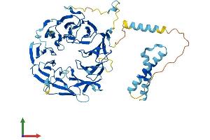 AlphaFold protein structure predicition of Human Recombinant EIF2A Protein, UniprotID Q9BY44