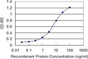 Detection limit for recombinant GST tagged INPP5A is 0. (INPP5A antibody  (AA 288-387))