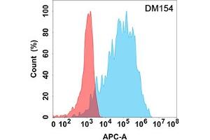 Flow cytometry analysis with Anti-FAP (DM154) on Expi293 cells transfected with human FAP (Blue histogram) or Expi293 transfected with irrelevant protein (Red histogram). (FAP antibody  (AA 30-760))