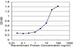 Detection limit for recombinant GST tagged HMGCS2 is approximately 1ng/ml as a capture antibody. (HMGCS2 antibody  (AA 424-508))