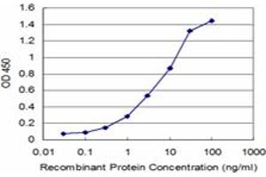 Detection limit for recombinant GST tagged NBR1 is approximately 0. (NBR1 antibody  (AA 2-96))