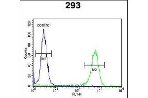 JHDM1D Antibody (Center) (ABIN651309 and ABIN2840180) flow cytometric analysis of 293 cells (right histogram) compared to a negative control cell (left histogram). (JHDM1D antibody  (AA 290-316))
