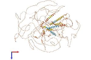 AlphaFold protein structure predicition of Human Recombinant SPATA31A7 Protein, UniprotID Q8IWB4 (FAM75A4 Protein (AA 1-1347) (His tag))