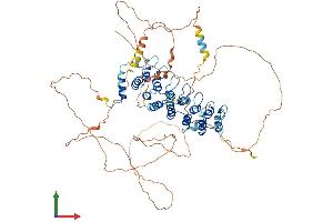 AlphaFold protein structure predicition of Mouse Recombinant Nfkbiz Protein, UniprotID Q9EST8
