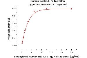 ELISA image for Poliovirus Receptor-Related 2 (Herpesvirus Entry Mediator B) (PVRL2) (AA 32-360) (Active) protein (Fc Tag) (ABIN4949134)
