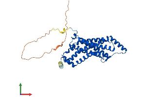 AlphaFold protein structure predicition of Human Recombinant STEAP1 Protein, UniprotID Q9UHE8