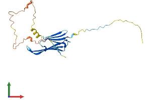 AlphaFold protein structure predicition of Mouse Recombinant Hspb1 Protein, UniprotID P14602 (HSP27 Protein (AA 1-209) (His tag))